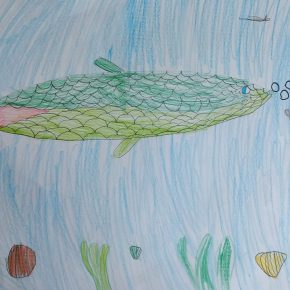 OS Cerknica Kadric Sara 2.m 290x290 - Natečaj nari&scaron;i ribo uspe&scaron;no zaključen