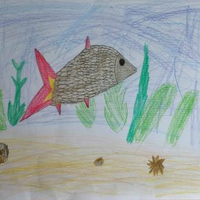 OS Cerknica Svigelj Jona 2.m 290x290 - Natečaj nari&scaron;i ribo uspe&scaron;no zaključen