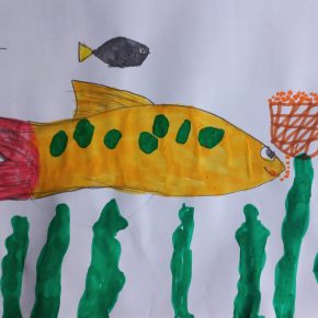 Os Cerknica Penca Uma 1.m 290x290 - Natečaj nari&scaron;i ribo uspe&scaron;no zaključen