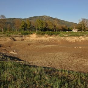 DSC05143 2 290x290 - VODONOS PRESAHNIL