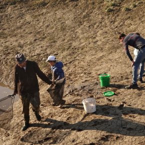 DSC05152 2 290x290 - VODONOS PRESAHNIL