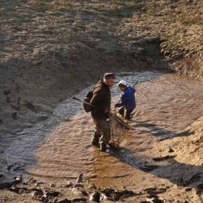 DSC05153 2 290x290 - VODONOS PRESAHNIL