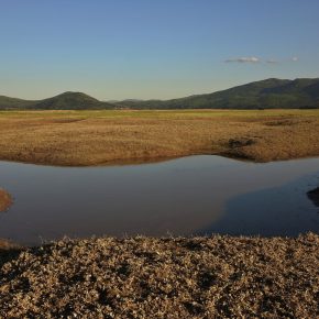 DSC05159 2 290x290 - VODONOS PRESAHNIL