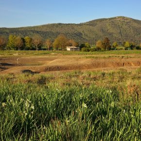 DSC05161 2 290x290 - VODONOS PRESAHNIL