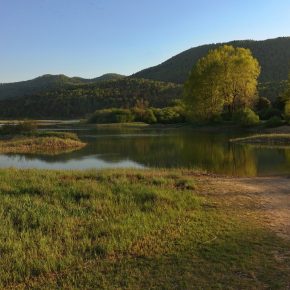 DSC05164 2 290x290 - VODONOS PRESAHNIL