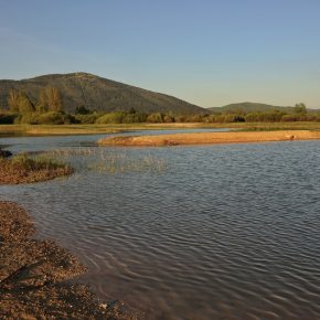 DSC05173 2 290x290 - VODONOS PRESAHNIL