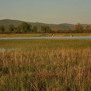 DSC05180 2 290x290 - VODONOS PRESAHNIL