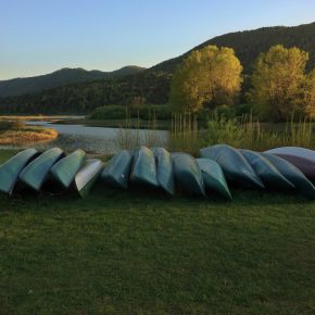 DSC05193 2 290x290 - VODONOS PRESAHNIL