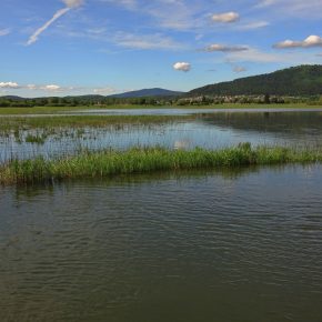 DSC05661 2 290x290 - PO USPE&Scaron;NEM RE&Scaron;EVANJU SE JEZERO POLNI