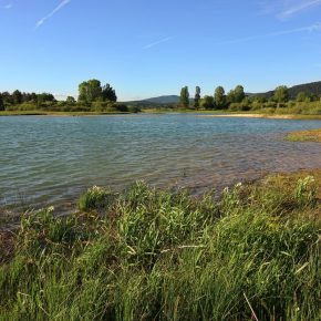 DSC05663 2 290x290 - PO USPE&Scaron;NEM RE&Scaron;EVANJU SE JEZERO POLNI