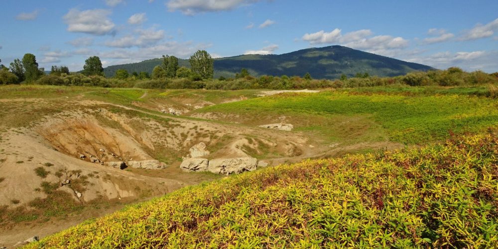 Obvestilo o spremembi namestnika vodje reševanja rib.