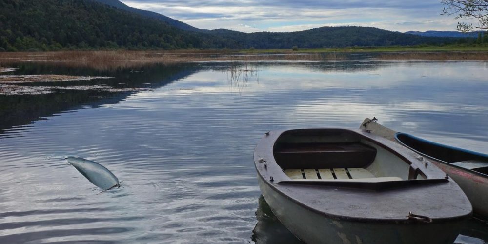 OBILNE PADAVINE ZALIVAJO JEZERO