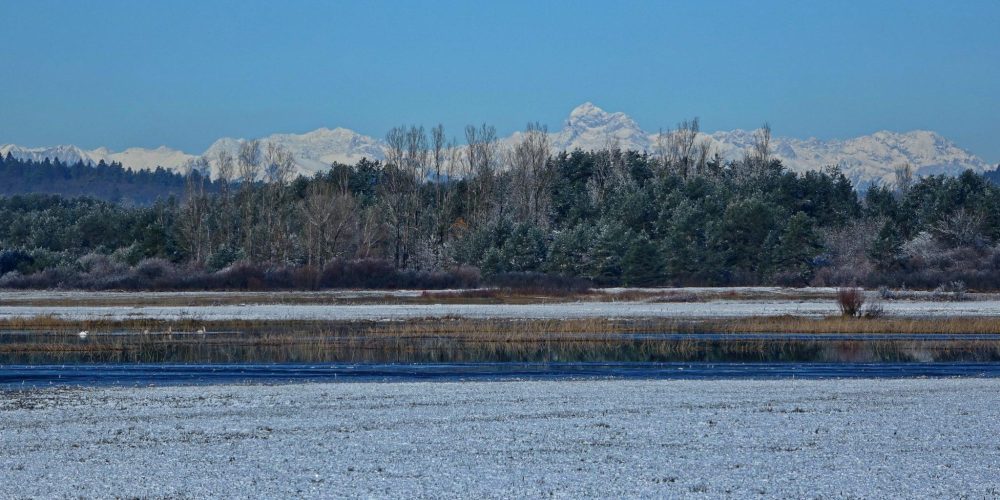 JEZERO ODETO V BELO OBLEKO
