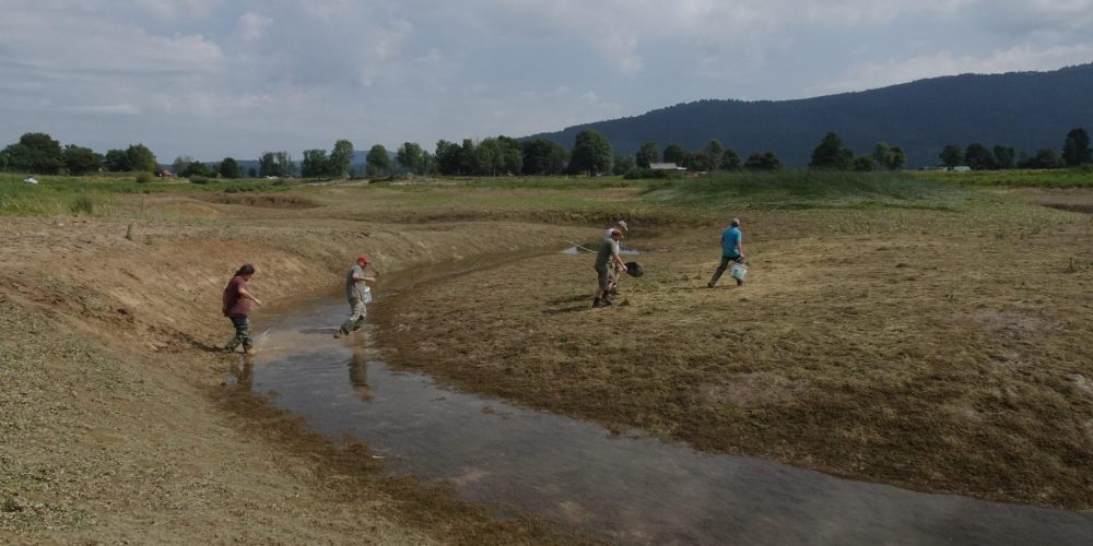 REŠEVANJE V VODONOSU