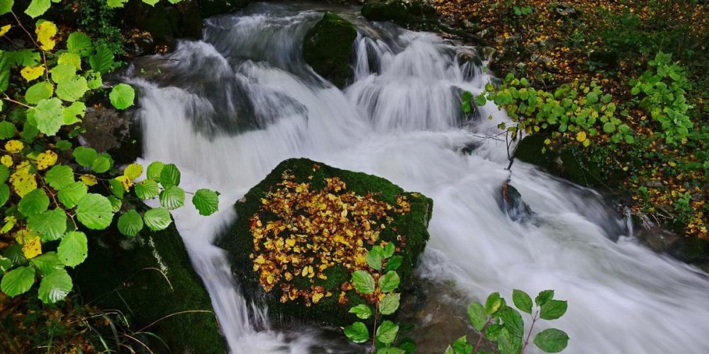 BRUHALNIKI NA GORENJEM JEZERU DEJAVNI