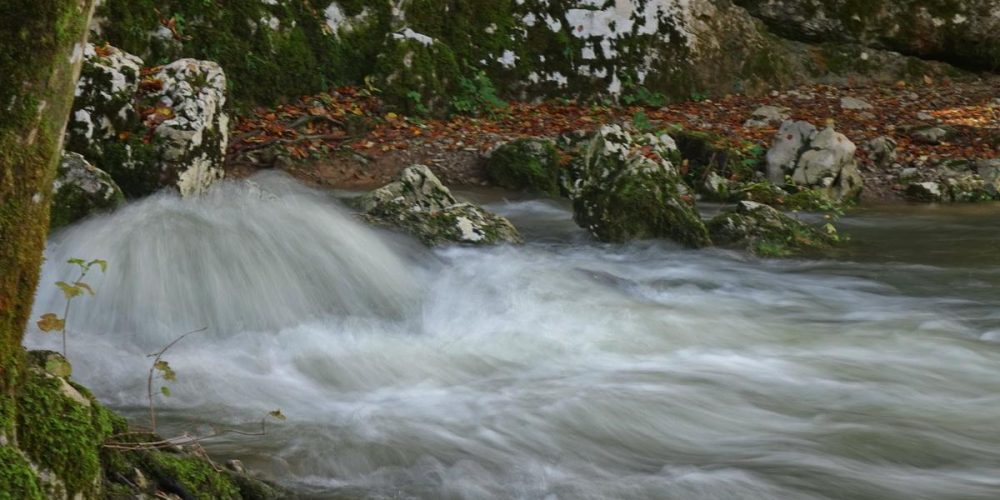 JESEN V RAKOVEM ŠKOCJANU