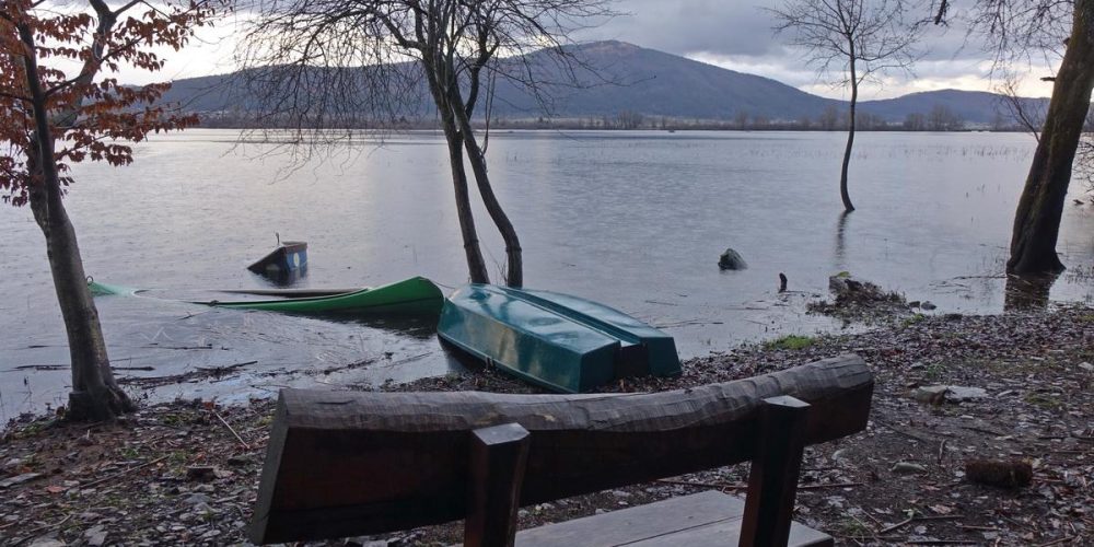 BRUHALNIKI DELAJO NA POLNO