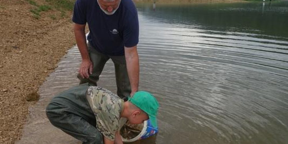 JUTRANJE REŠEVANJE V REŠETU