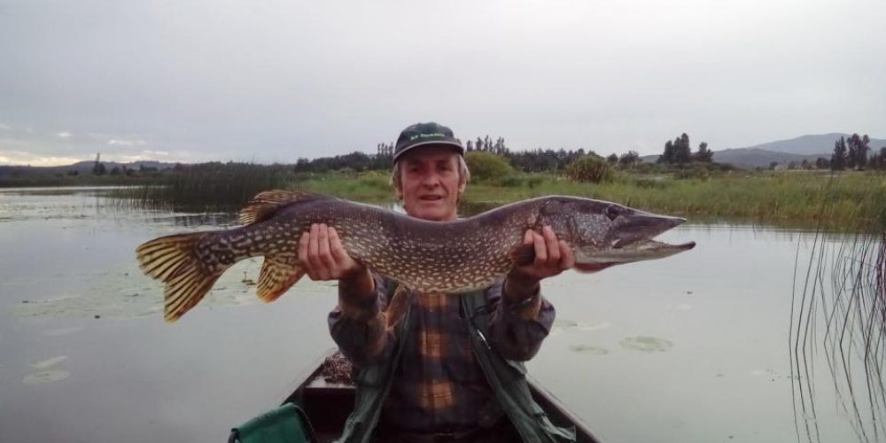 TAVČAR JANKU V SLOVO