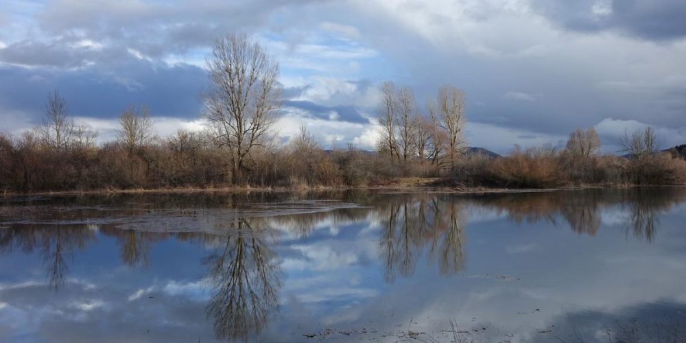JEZERO ZALITO IN RAZLITO