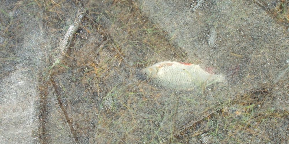 DOPOLDANSKI POTEP PO JEZERU