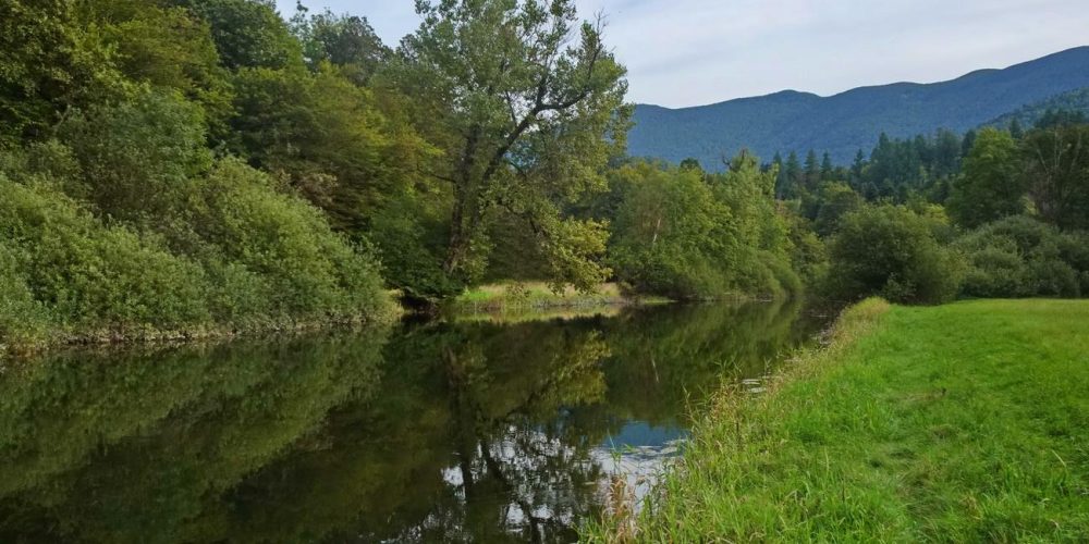 UGODEN RIBOLOV V RAKOVEM ŠKOCJANU