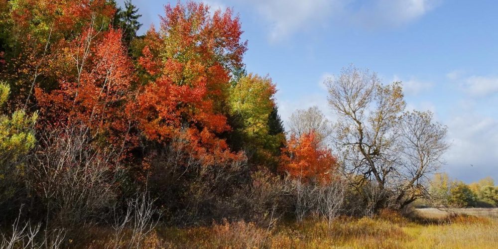 ČUDOVITA JESEN OBARVALA JEZERO