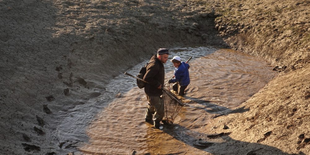 DOŽIVETJE “Reševalec rib za en dan (ali noč)”