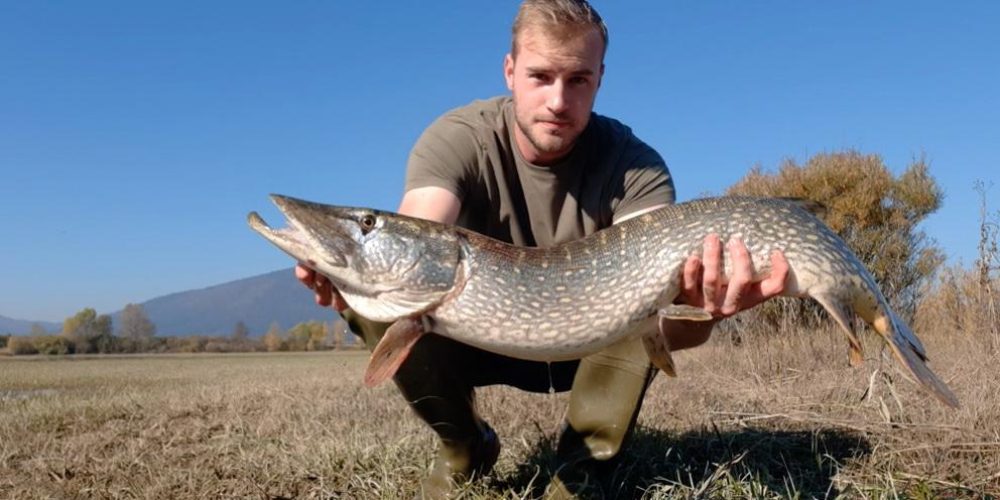 ŠE ENA LEPOTICA UPLENJENA IN IZPUŠČENA