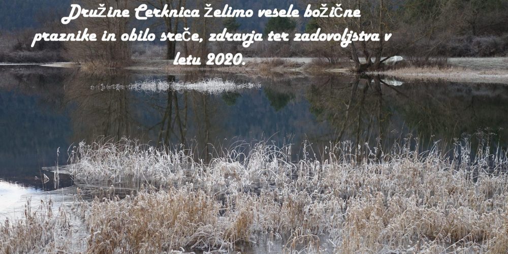 VOŠČILO 2020