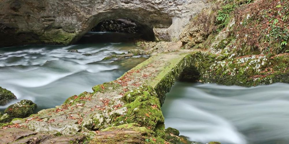 NEKAJ UTRINKOV Z JEZERA IN RAKOVEGA ŠKOCJANA