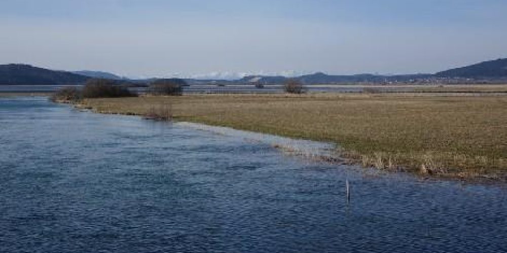 Jezero zalito