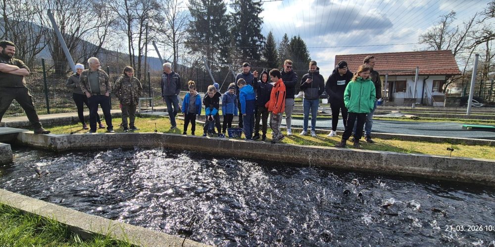 Obisk ribogojnice in postopki smukanja potočne postrvi