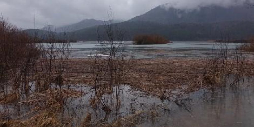 Jezero zalito