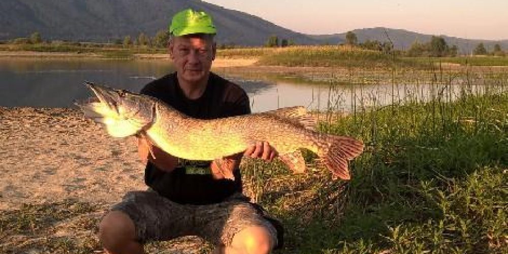 Še ena lepa jezerska ščuka