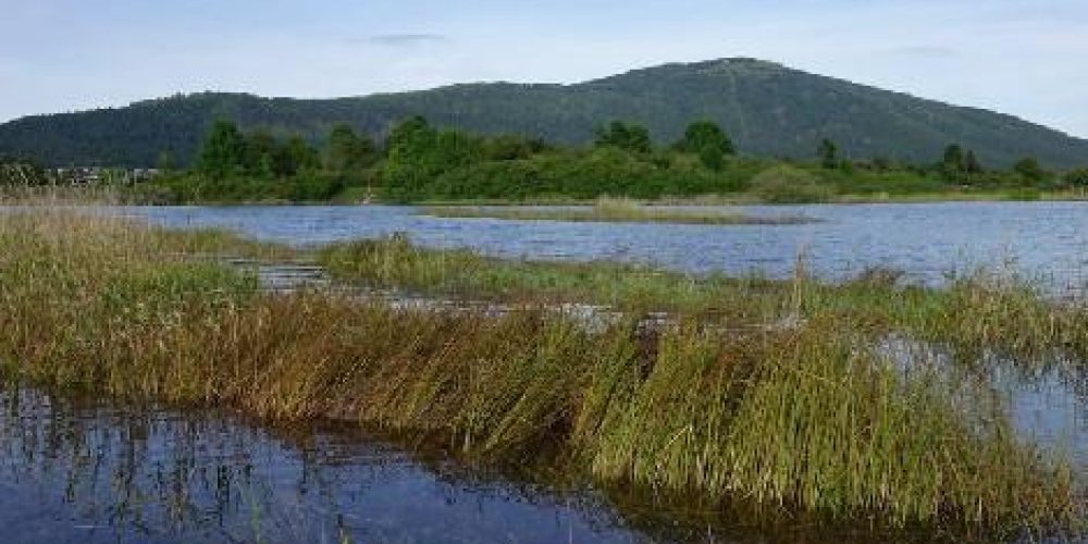 Jezero zalito