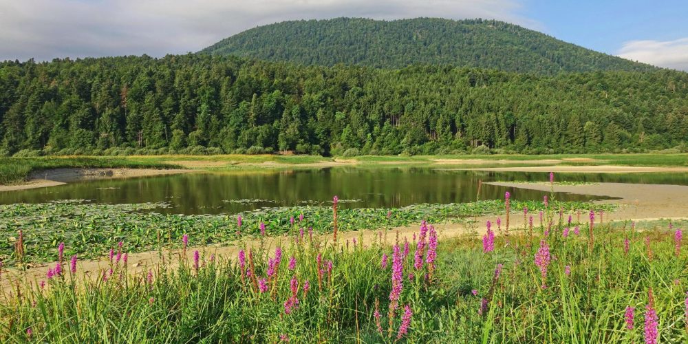 PREPOVED RIBOLOVA NA CERKNIŠKEM JEZERU IN V RAKOVEM ŠKOCJANU
