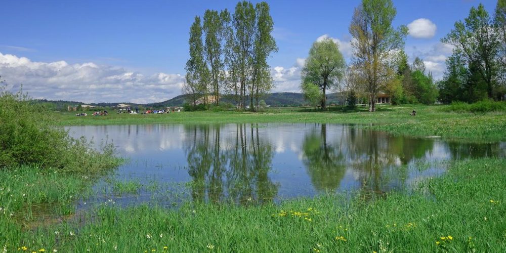 JEZERO LEPO ZALITO