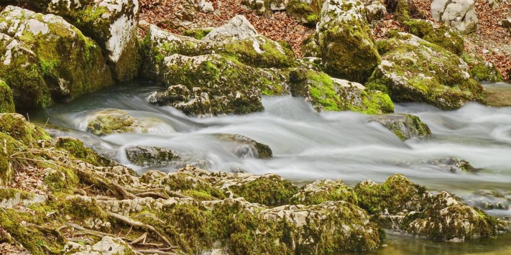 JEZERO NAPOLNJENO