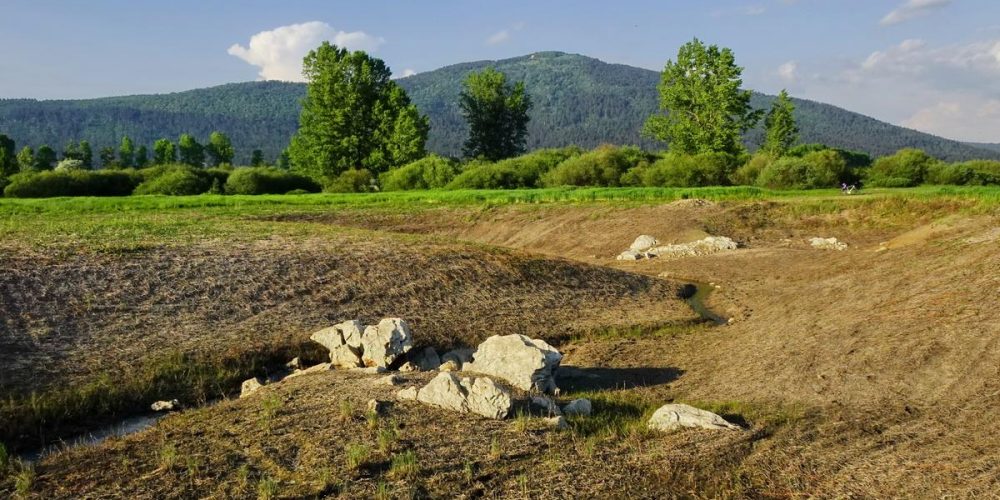 JEZERO SPET ZAČELO PRESIHATI