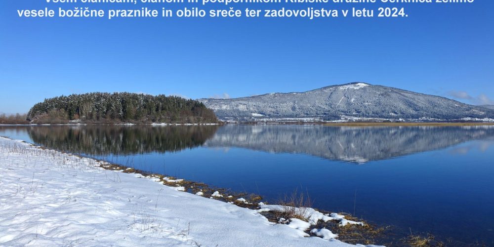 NOVOLETNO VOŠČILO