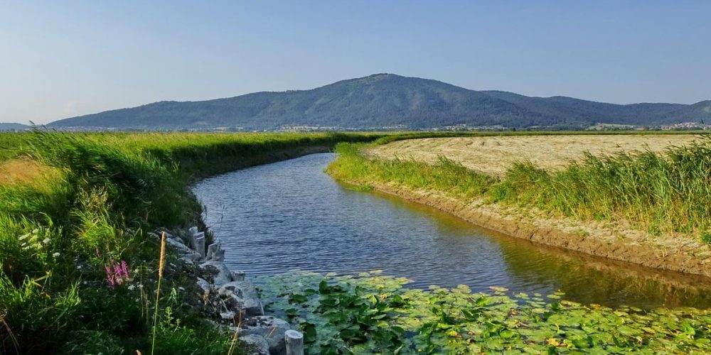 JEZERO V STRUGI