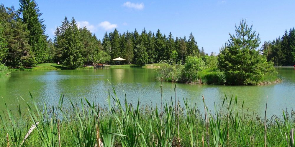 BREZPLAČEN RIBOLOV ŠČUKE ZA ČLANE RD