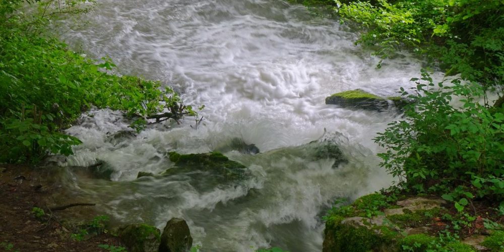 JEZERO SE POLNI