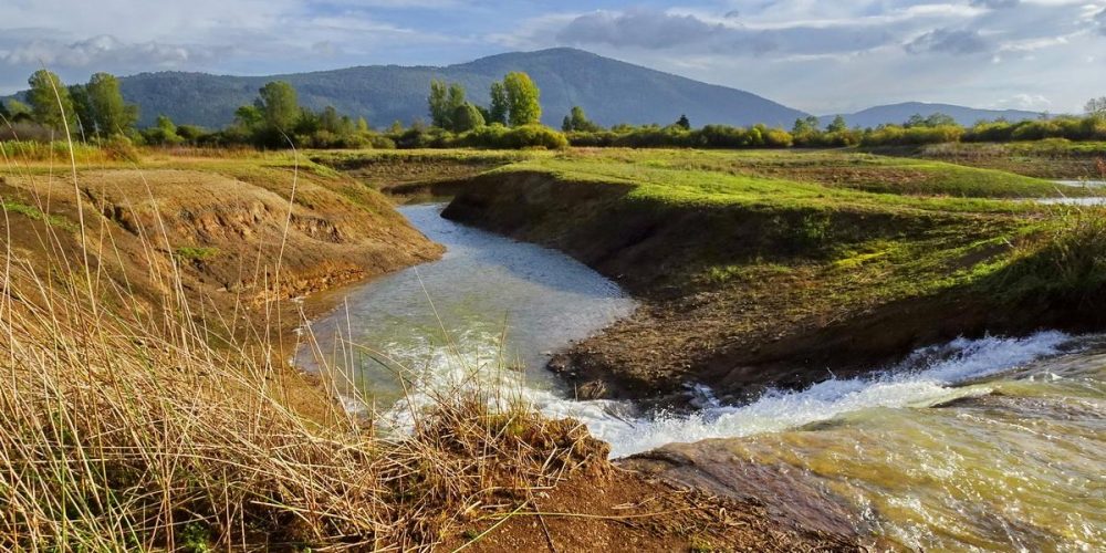 JEZERO SE POLNI