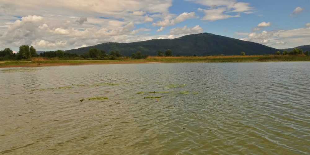 PONOVNO ODPRTJE RIBOLOVA NA CERKNIŠKEM JEZERU: Narava si je opomogla, ribiči se vračajo na vodo!