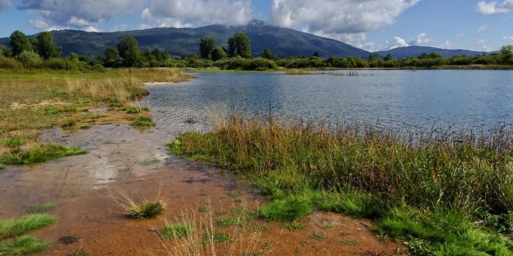 JEZERO ZALITO