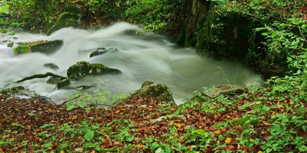 JEZERO ZOPET LEPO ZALITO