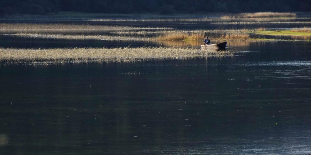 JEZERO SPET ZALITO