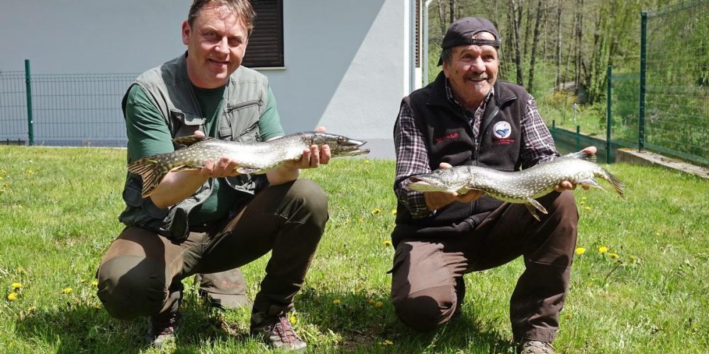 LEP IN PRIJETEN PRVOMAJSKI ŠČUKOLOV